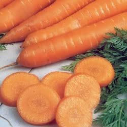 Nantes 2 carrots