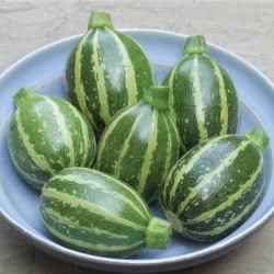Piccolo F1 hybrid courgette seeds