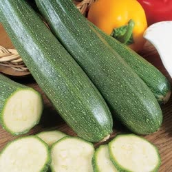Zucchini