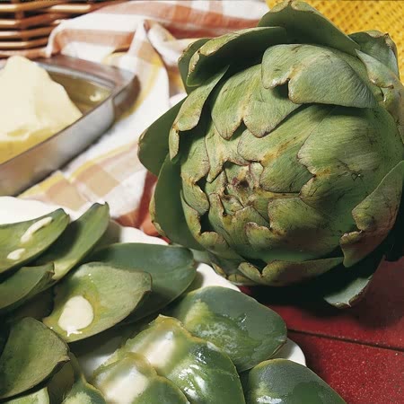 Green Globe Articchoke