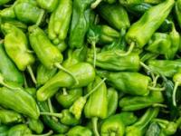 Padron