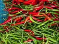 Tabasco